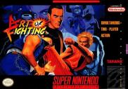 Art of Fighting