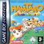 Hamtaro: Rainbow Rescue