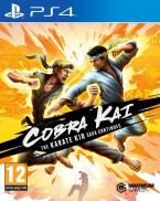 Cobra Kai: The Karate Kid Saga Continues