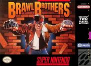 Brawl Brothers : Rival Turf 2