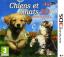 Chiens et Chats 3D : Mes Meilleurs Amis