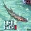 Reel Fishing II - Fish Eyes II (JAP)