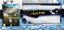 Hunter's Trophy 2 - Europa (Jeu + Fusil)