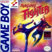 Raging Fighter