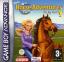 Barbie Horse Adventures: The Big Race (Barbie Aventure Equestre)