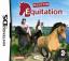 Mission Equitation