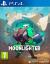 Moonlighter