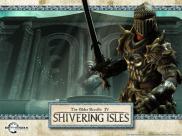 The Elder Scrolls IV : Oblivion : The Shivering Isles