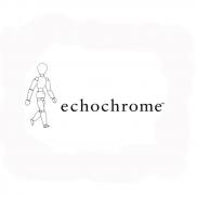 echochrome (PSN PS3 PSP PS4 PS5)