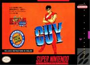 Final Fight Guy
