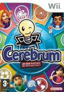 Cerebrum