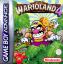 Wario Land 4 